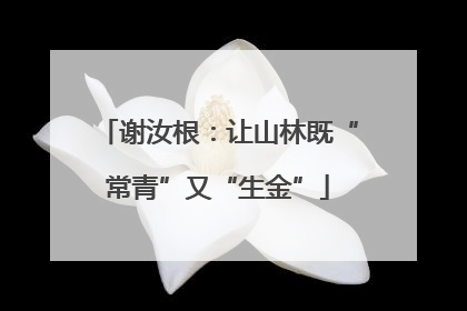 谢汝根：让山林既“常青”又“生金”