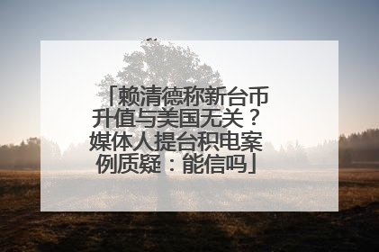 赖清德称新台币升值与美国无关？媒体人提台积电案例质疑：能信吗