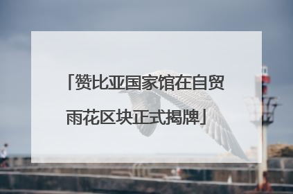 赞比亚国家馆在自贸雨花区块正式揭牌