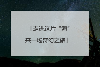 走进这片“海”来一场奇幻之旅