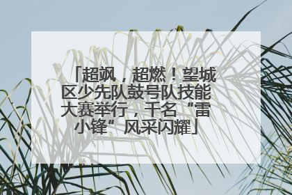 超飒，超燃！望城区少先队鼓号队技能大赛举行，千名“雷小锋”风采闪耀