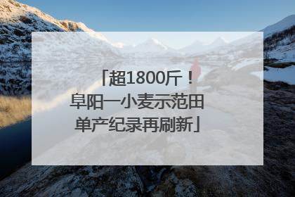超1800斤！阜阳一小麦示范田单产纪录再刷新