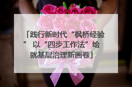 践行新时代“枫桥经验” 以“四步工作法”绘就基层治理新画卷