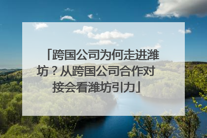 跨国公司为何走进潍坊？从跨国公司合作对接会看潍坊引力