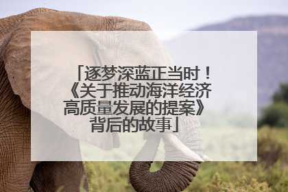 逐梦深蓝正当时！《关于推动海洋经济高质量发展的提案》背后的故事