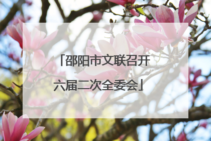 邵阳市文联召开六届二次全委会