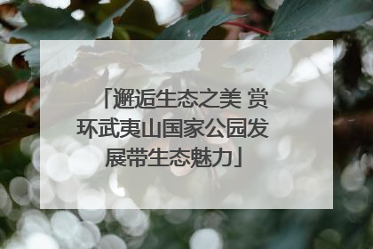 邂逅生态之美 赏环武夷山国家公园发展带生态魅力