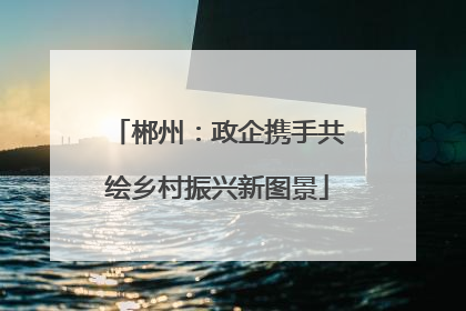 郴州：政企携手共绘乡村振兴新图景