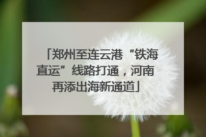 郑州至连云港“铁海直运”线路打通，河南再添出海新通道