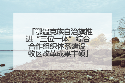鄂温克族自治旗推进“三位一体”综合合作组织体系建设 牧区改革成果丰硕