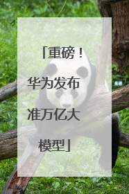 重磅！华为发布准万亿大模型
