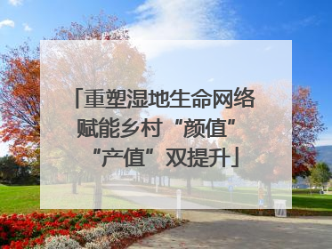 重塑湿地生命网络 赋能乡村“颜值”“产值”双提升
