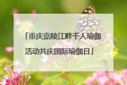 重庆嘉陵江畔千人瑜伽活动共庆国际瑜伽日