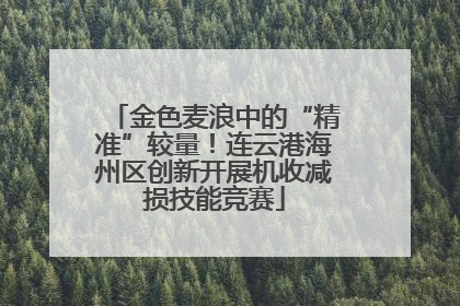 金色麦浪中的“精准”较量！连云港海州区创新开展机收减损技能竞赛