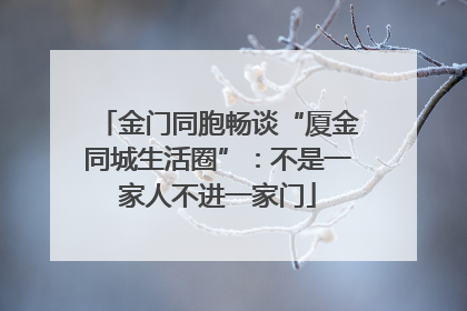 金门同胞畅谈“厦金同城生活圈”：不是一家人不进一家门