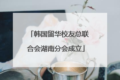 韩国留华校友总联合会湖南分会成立