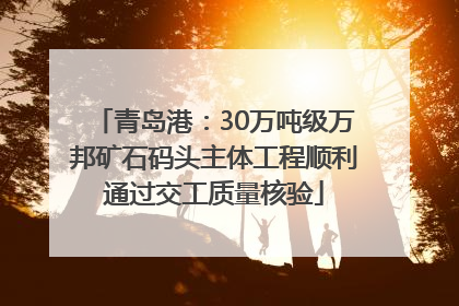 青岛港：30万吨级万邦矿石码头主体工程顺利通过交工质量核验