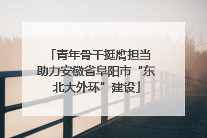 青年骨干挺膺担当 助力安徽省阜阳市“东北大外环”建设