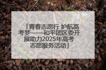 青春志愿行 护航高考梦——和平团区委开展助力2025年高考志愿服务活动