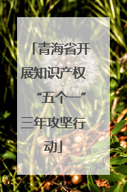 青海省开展知识产权“五个一”三年攻坚行动