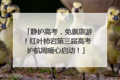 静护高考，免票惠游！红叶柿岩第三届高考护航周暖心启动！
