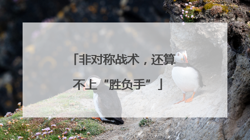 非对称战术，还算不上“胜负手”