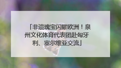 非遗瑰宝闪耀欧洲！泉州文化体育代表团赴匈牙利、塞尔维亚交流