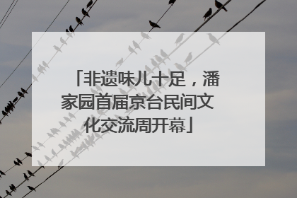 非遗味儿十足，潘家园首届京台民间文化交流周开幕