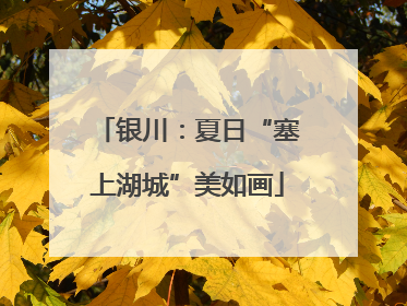银川：夏日“塞上湖城”美如画