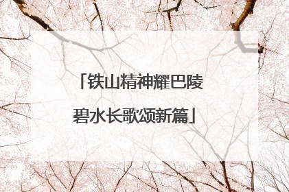 铁山精神耀巴陵 碧水长歌颂新篇
