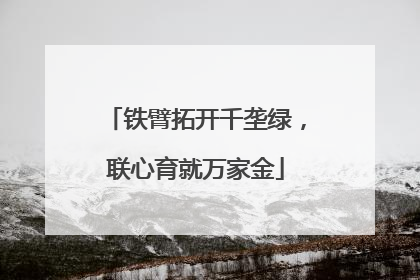 铁臂拓开千垄绿，联心育就万家金