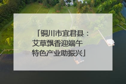 铜川市宜君县：艾草飘香迎端午 特色产业助振兴