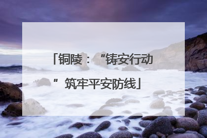 铜陵：“铸安行动”筑牢平安防线
