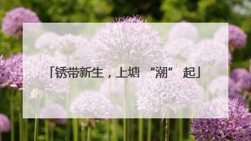 锈带新生，上塘 “潮” 起