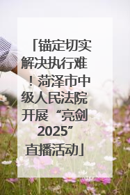 锚定切实解决执行难！菏泽市中级人民法院开展“亮剑2025”直播活动
