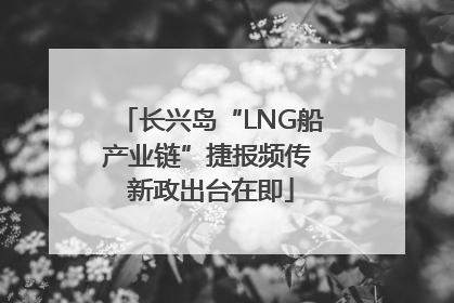 长兴岛“LNG船产业链”捷报频传 新政出台在即
