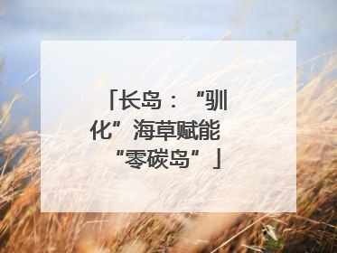 长岛：“驯化”海草赋能“零碳岛”