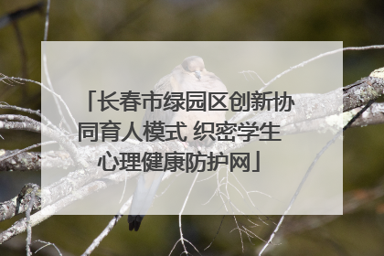 长春市绿园区创新协同育人模式 织密学生心理健康防护网