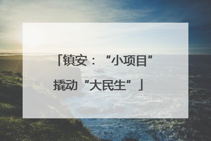 镇安：“小项目”撬动“大民生”
