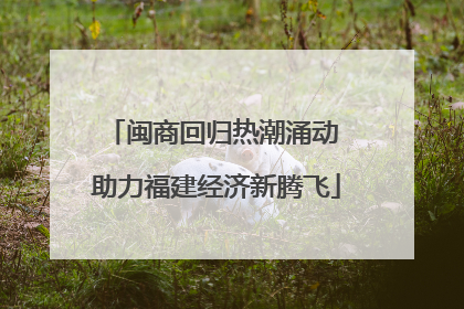闽商回归热潮涌动 助力福建经济新腾飞