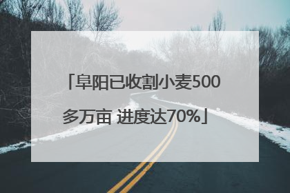 阜阳已收割小麦500多万亩 进度达70%