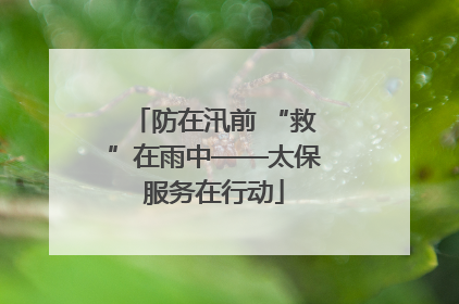 防在汛前 “救”在雨中——太保服务在行动