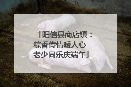 阳信县商店镇：粽香传情暖人心 老少同乐庆端午