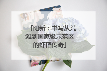 阳新：书写从荒滩到国家级示范区的虾稻传奇