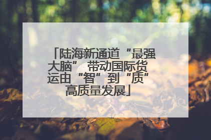 陆海新通道“最强大脑” 带动国际货运由“智”到“质”高质量发展