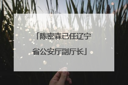 陈密森已任辽宁省公安厅副厅长