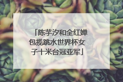 陈芋汐和全红婵包揽跳水世界杯女子十米台冠亚军