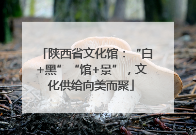 陕西省文化馆：“白+黑”“馆+景”，文化供给向美而聚