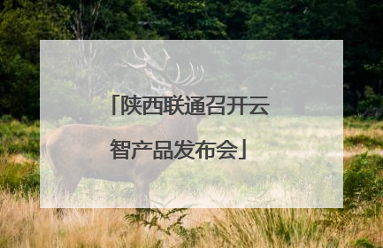 陕西联通召开云智产品发布会