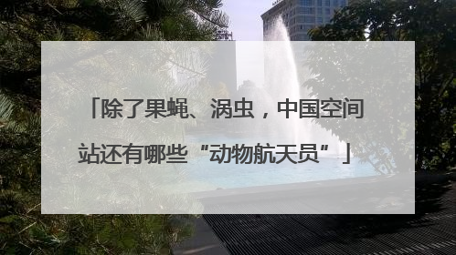 除了果蝇、涡虫，中国空间站还有哪些“动物航天员”